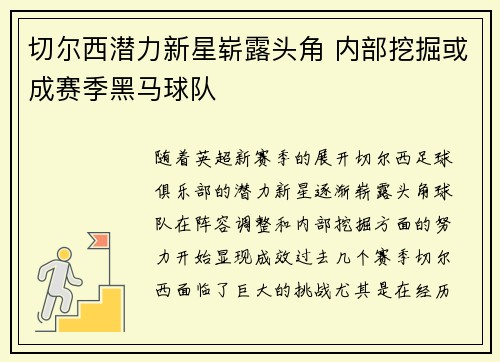 切尔西潜力新星崭露头角 内部挖掘或成赛季黑马球队